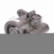 L38DB-3407100 Насос рулевого управления